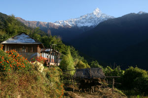 Nepal - Deurali, Annapurna trek