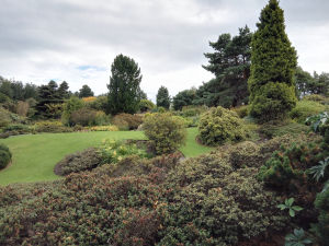 UK - Edinburgh, Royal Botanic Garden