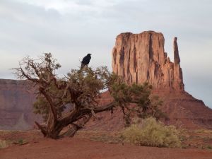 USA - Utah - Monument Valley