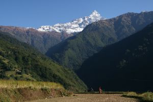 Nepal - Fish Tail - Mardi Himal trek