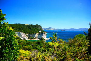 New Zealand - Coromandel National Park