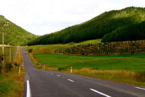 New Zealand - Tongariro National Park