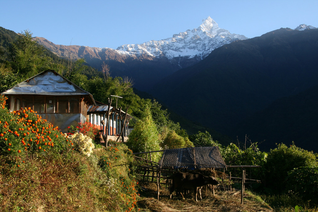 Deurali, Annapurna trek