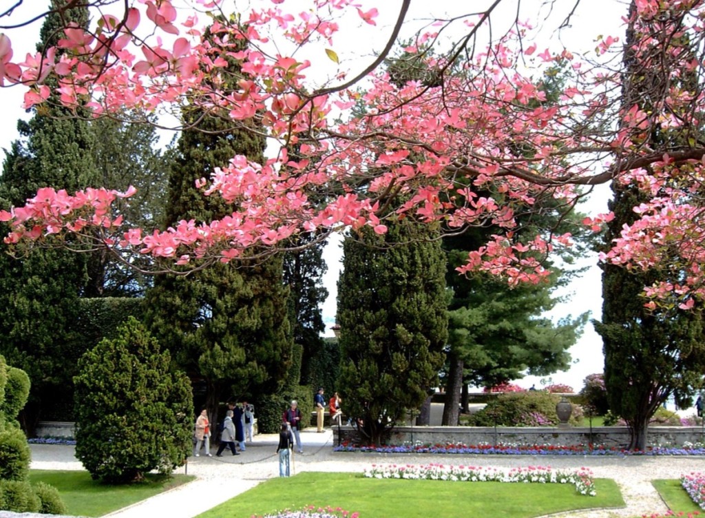 Lake Maggiore