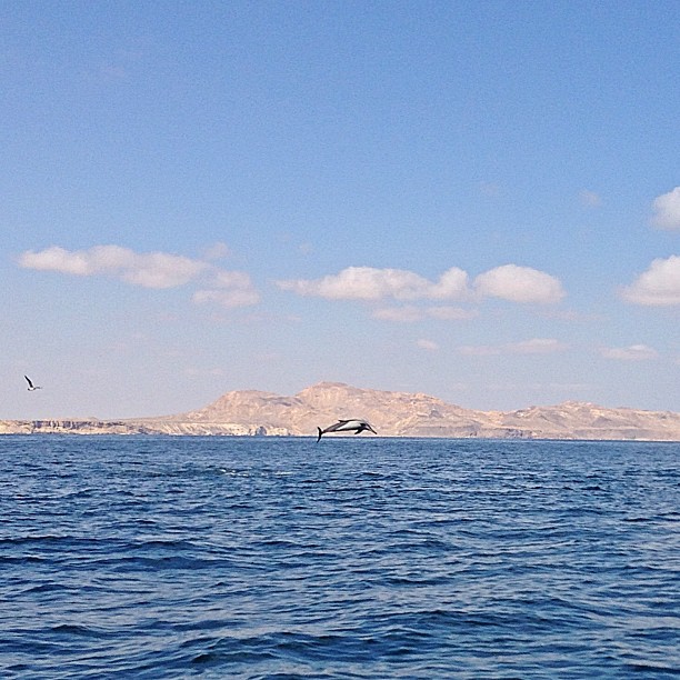 Oman - Sur