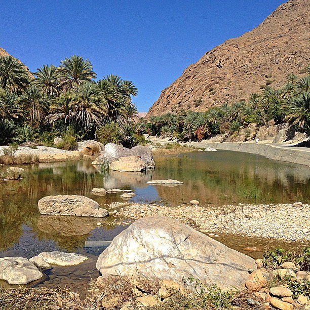 Oman - Wadi Bani Khalid