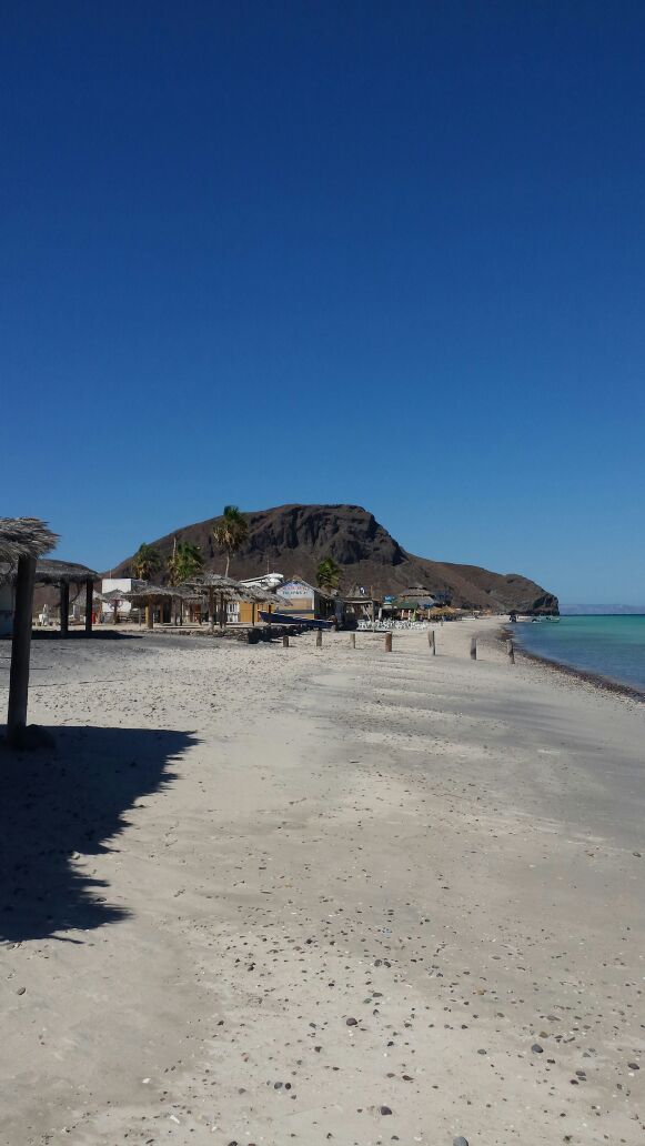 Mexico - Baja California - Isla Espiritu Santo