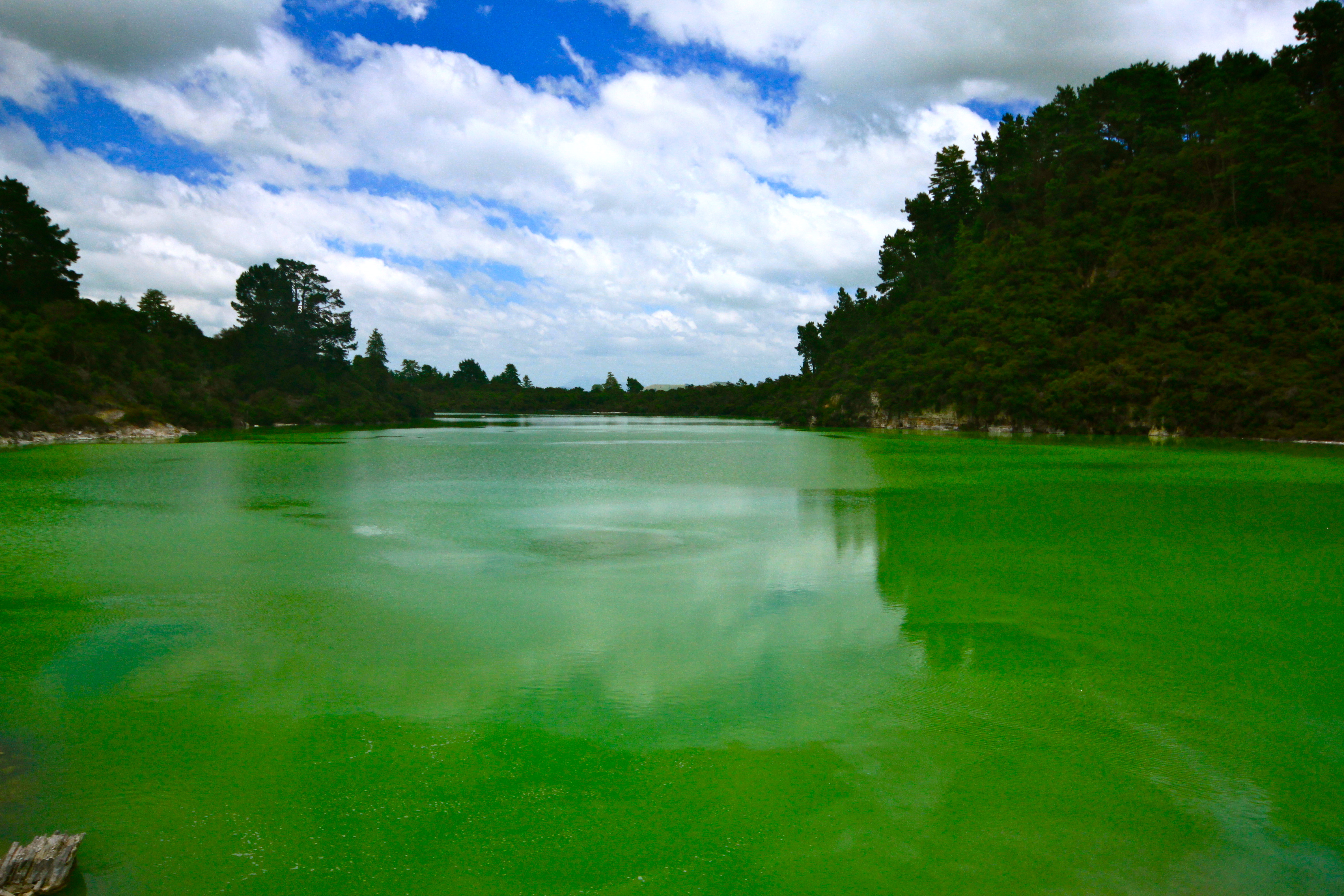 New Zealand - Waiotapu geyser green lake